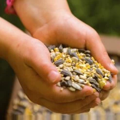 National Trust Garden Bird Table Seed -birds Shop rsz 5 jv05729 a