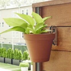 Set Of 3 Floating Plant Hangers