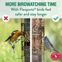 Perky-Pet® Squirrel-Be-Gone Max Pinecone Bird Feeder With Flexports® -birds Shop sbg100bf info 3a