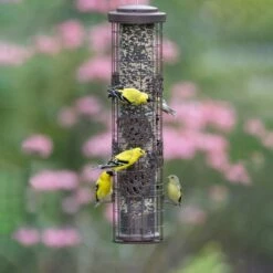 Perky-Pet® Squirrel-Be-Gone Max Pinecone Bird Feeder With Flexports®