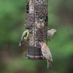 Perky-Pet® Squirrel-Be-Gone Max Pinecone Bird Feeder With Flexports® -birds Shop sbg101 a 4