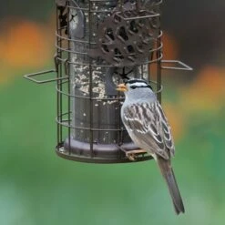 Perky-Pet® Squirrel-Be-Gone Max Pinecone Bird Feeder With Flexports® -birds Shop sbg101 a 5