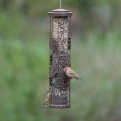 Perky-Pet® Squirrel-Be-Gone Max Pinecone Bird Feeder With Flexports® -birds Shop sbg101 a 7