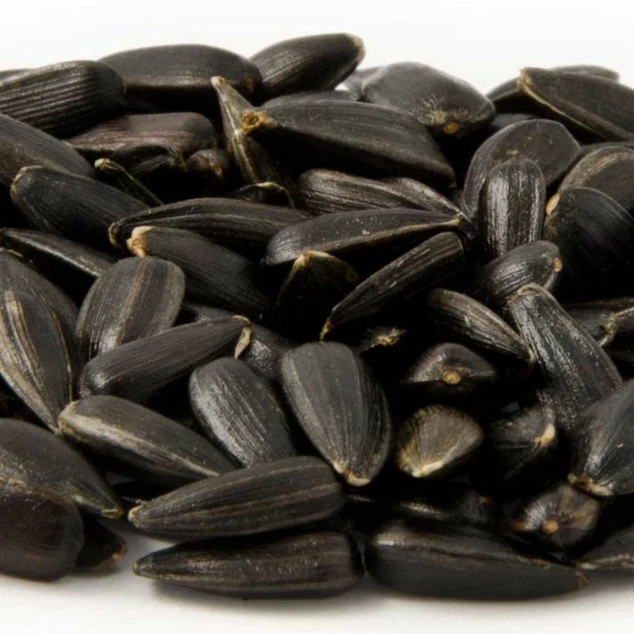 Black Sunflower Seeds - Bird Food 2 Black Sunflower Seeds - Bird Food - Image 2