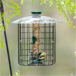 Droll Yankees® New Generation® Caged Squirrel-Proof Bird Feeder - 1 Lb