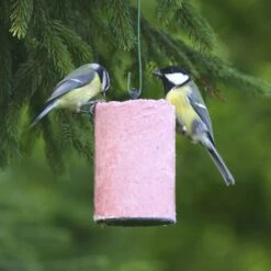 Very Berry Peanut Cake Tube (500ml)