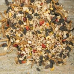 Vitality Bird Seed Mix