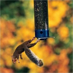 Droll Yankees® Yankee Whipper® Squirrel-Proof Bird Feeder - 5 Lb