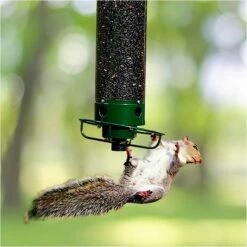 Droll Yankees® Yankee Flipper® Squirrel-Proof Bird Feeder - 5 Lb -birds Shop yf 03 698
