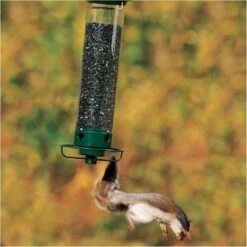Droll Yankees® Yankee Flipper® Squirrel-Proof Bird Feeder - 5 Lb -birds Shop yf 1 lifestyle