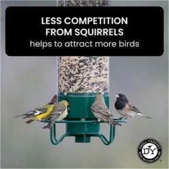 Droll Yankees® Yankee Flipper® Squirrel-Proof Bird Feeder - 5 Lb -birds Shop yf info4 698
