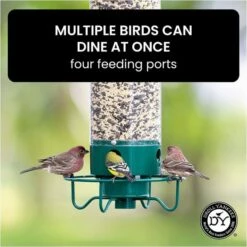 Droll Yankees® Yankee Flipper® Squirrel-Proof Bird Feeder - 5 Lb -birds Shop yf info5 698