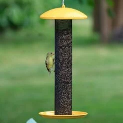 Perky-Pet® Straight-Sided Finch Tube Feeder -birds Shop yssf00346 2 d 4