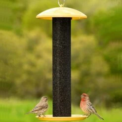 Perky-Pet® Straight-Sided Finch Tube Feeder -birds Shop yssf00346 06 698