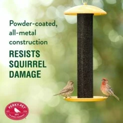 Perky-Pet® Straight-Sided Finch Tube Feeder -birds Shop yssf00346 info1 698