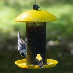 Perky-Pet Yellow Finch Feeder, 1.5 Lb Capacity -birds Shop yssf00348 09 698