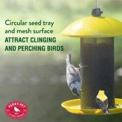 Perky-Pet Yellow Finch Feeder, 1.5 Lb Capacity -birds Shop yssf00348 info1 698